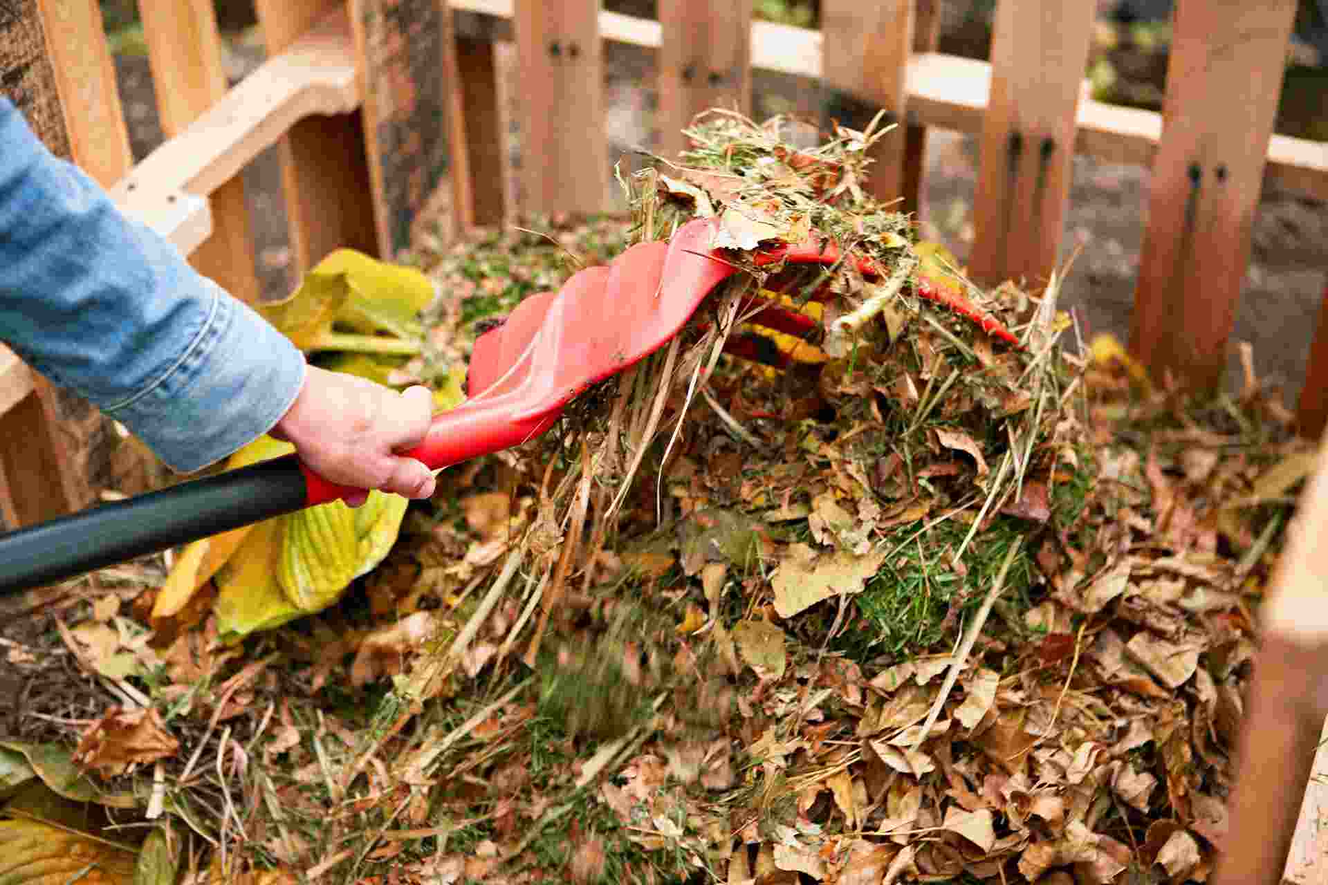 You are currently viewing Urban Gardening and Yard Waste Management in Michigan Cities