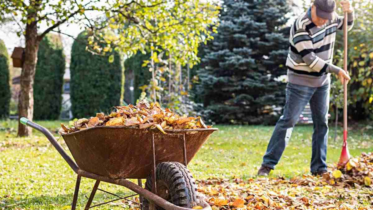 You are currently viewing Yard Waste Removal and Lawn Care: A Comprehensive Guide