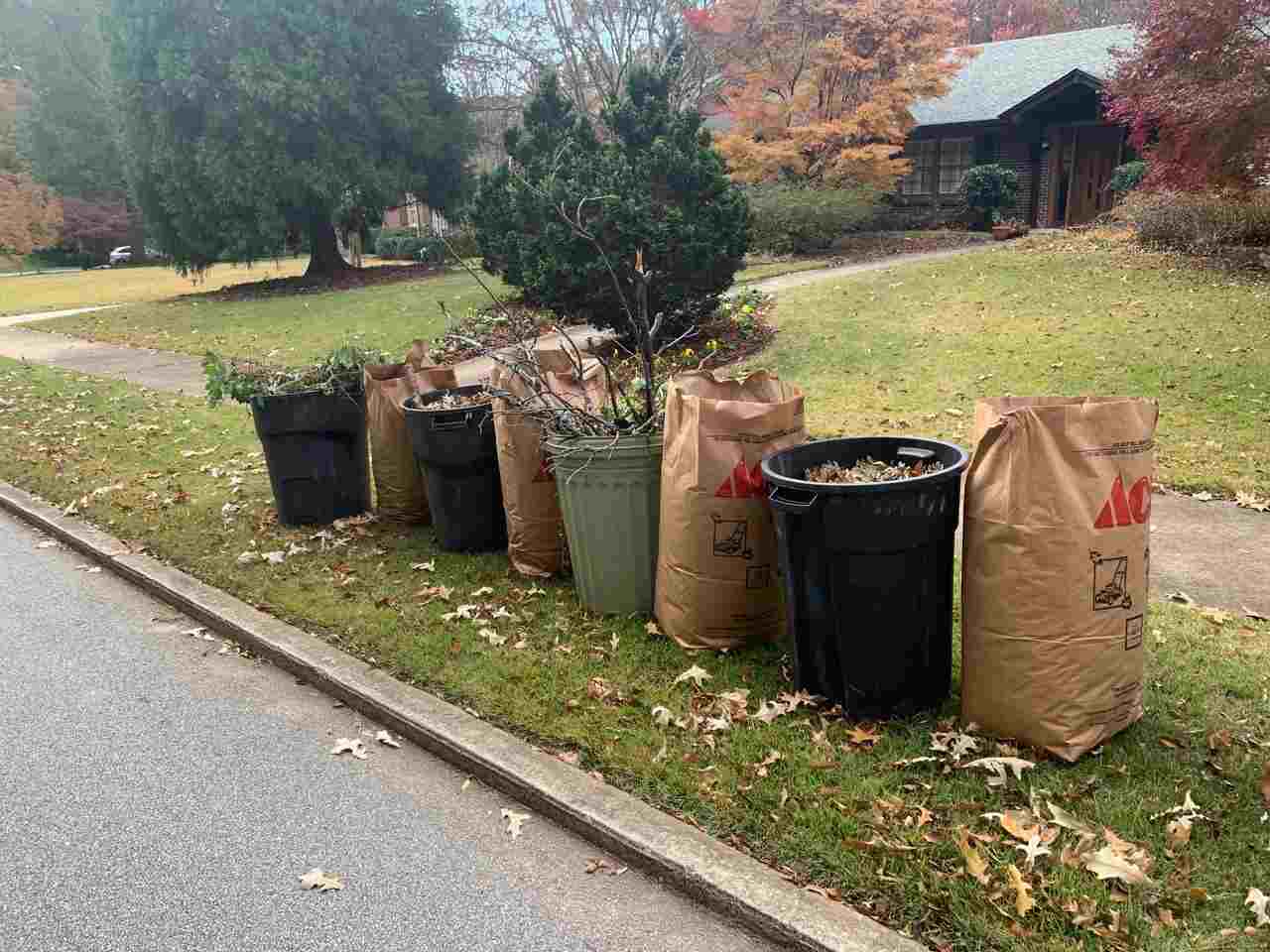 You are currently viewing Reducing Yard Waste: Sustainable Practices for Michigan Residents