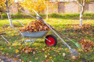 Read more about the article Preparing Your Michigan Yard for Summer: Waste Removal Essentials